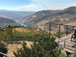 Ultimate Douro Valley Journey